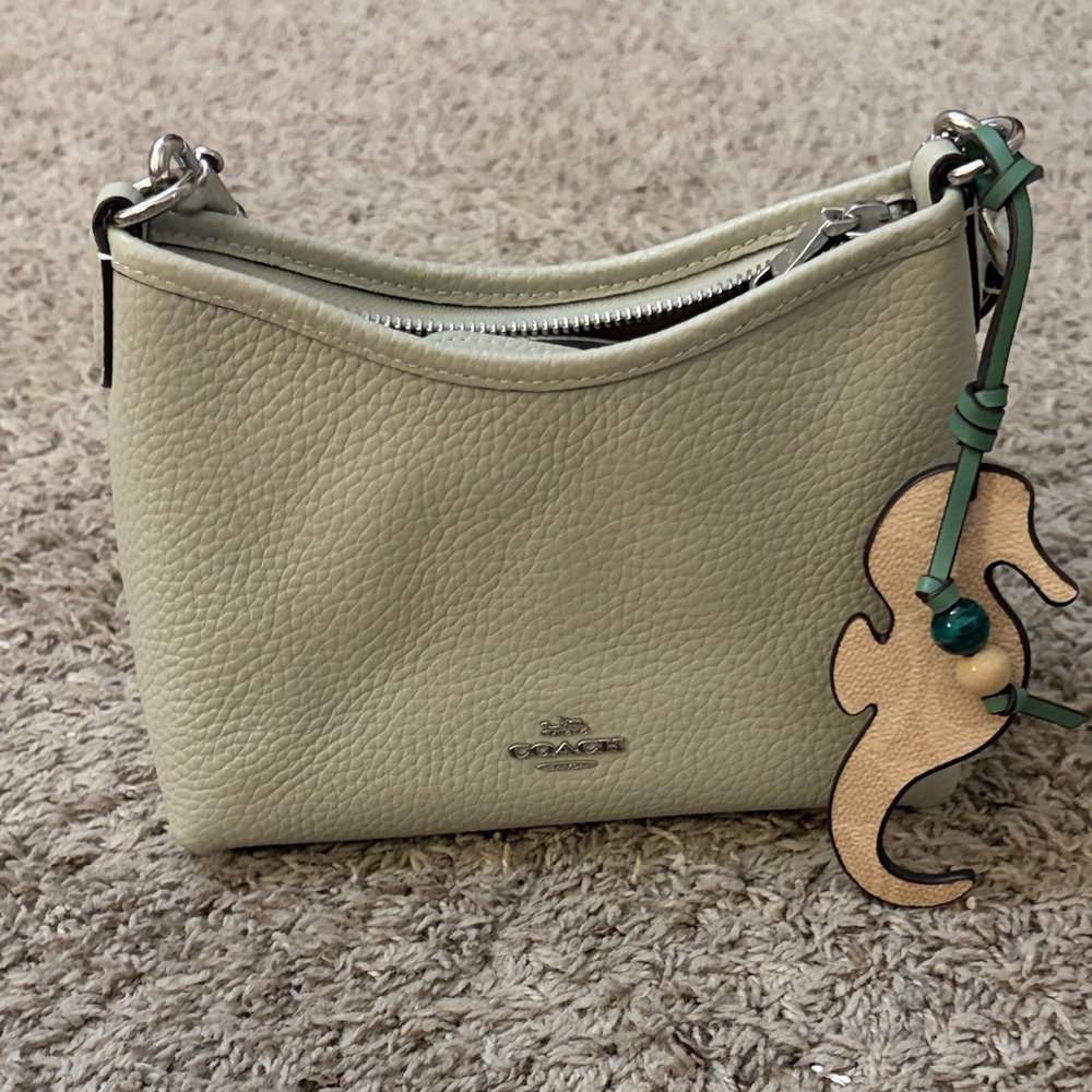 Coach Light Pistachio Crossbody Bag